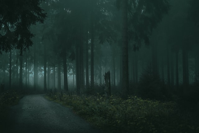 情緒的迷霧森林—認識「情緒勒索」