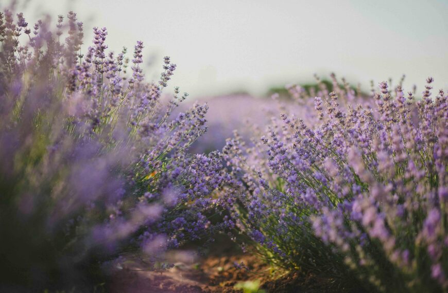 2025年11月精選好文