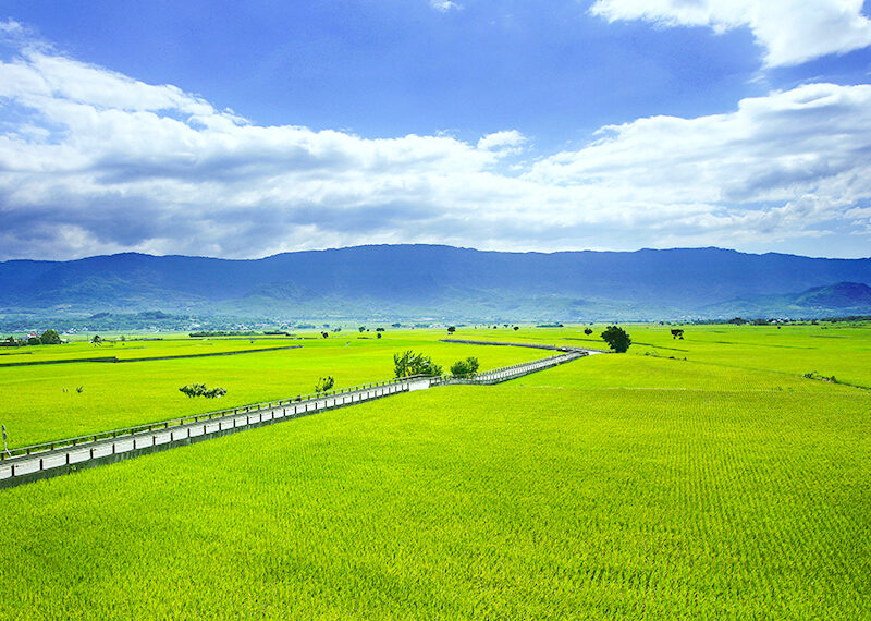 【資源】本校社區諮商中心心田諮商所「青壯方案」師大學生優先預約